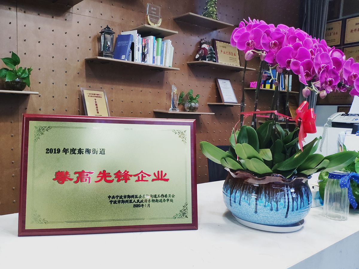 【完美在线荣获“攀高先锋企业”称号】