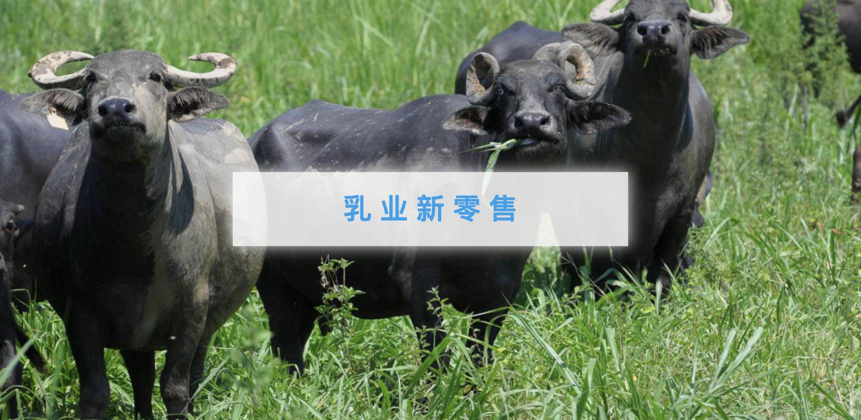 新零售